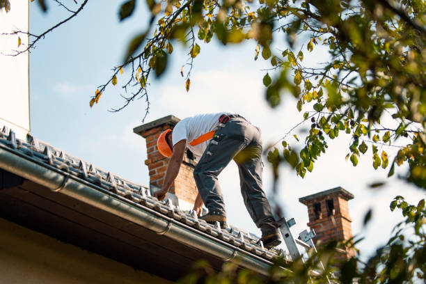 Best Roof Restoration Services  in Burnsville, NC