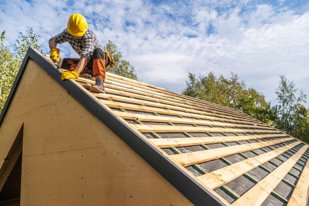 Best Roof Gutter Cleaning  in Burnsville, NC
