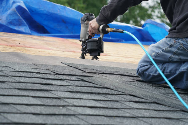 Best Roof Maintenance Services  in Burnsville, NC