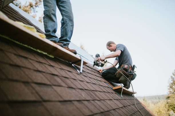 Professional Roofing Contractor in Burnsville, NC