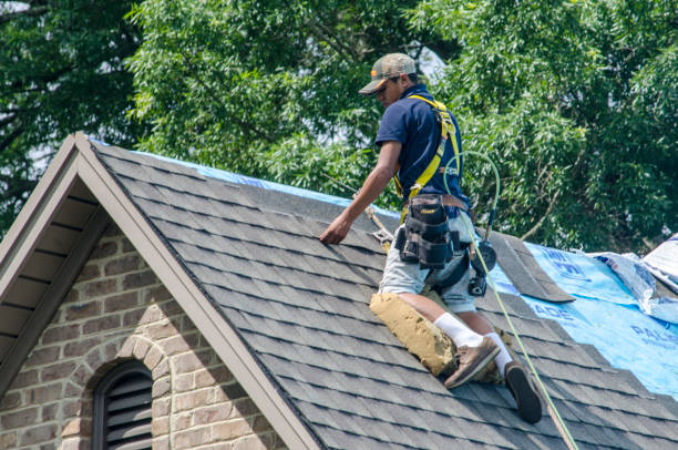 Best Roofing Contractor Near Me  in Burnsville, NC